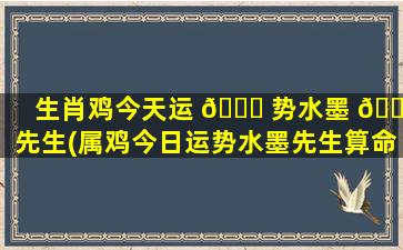 生肖鸡今天运 💐 势水墨 🐟 先生(属鸡今日运势水墨先生算命先生)